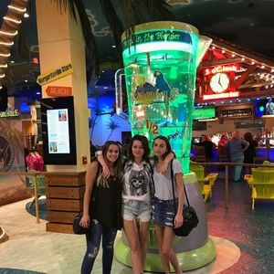 Meet your Posher, Ally